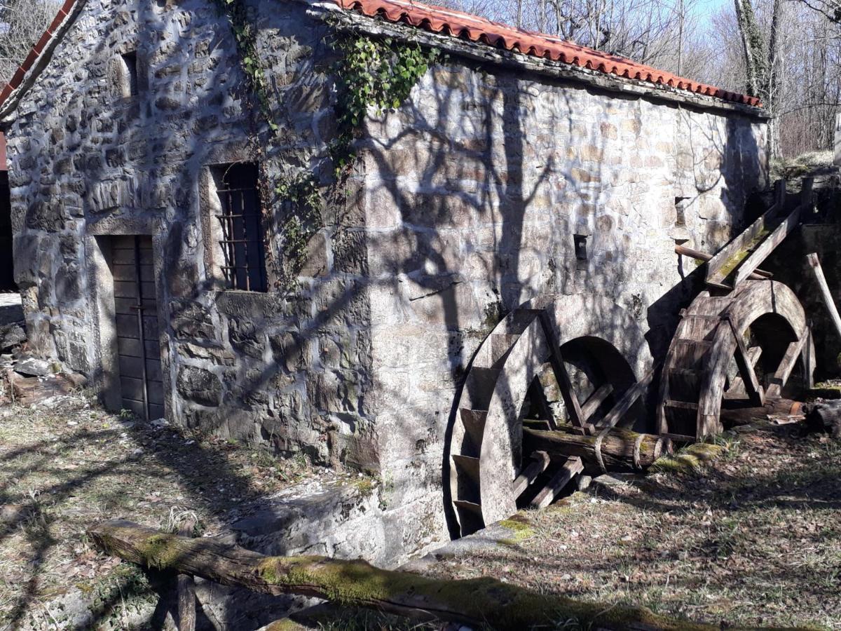 Wine House Rakar Guest House Gračišče Eksteriør bilde