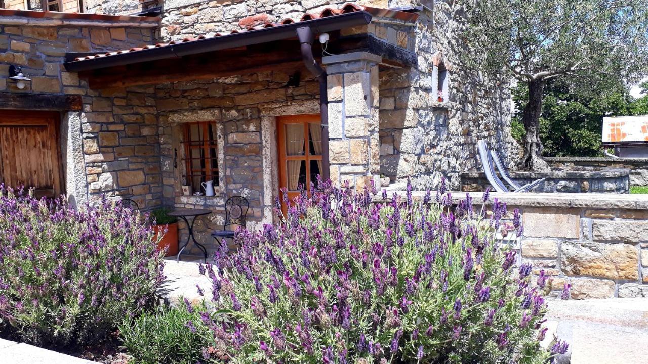 Wine House Rakar Guest House Gračišče Eksteriør bilde