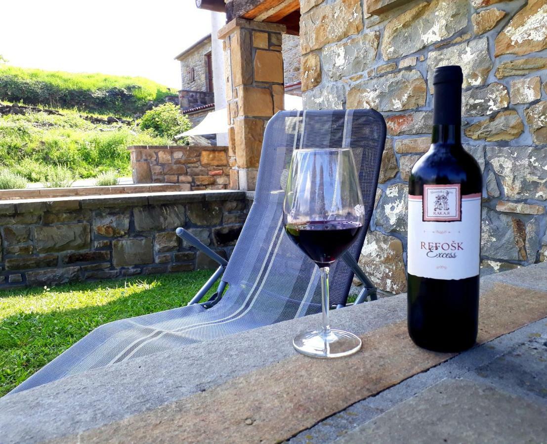 Wine House Rakar Guest House Gračišče Eksteriør bilde